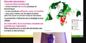 le leçons en ligne